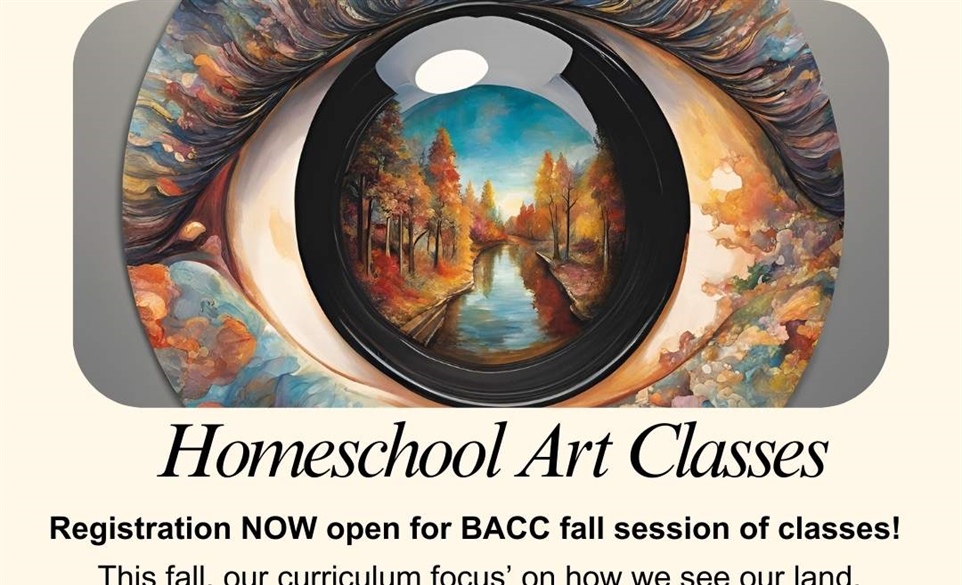 Homeschool Integrated Art Program (6-12 yr old)