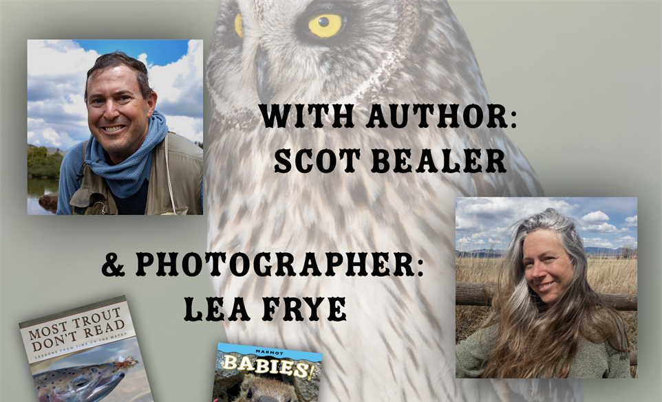 Fun, Facts and wildlife photography