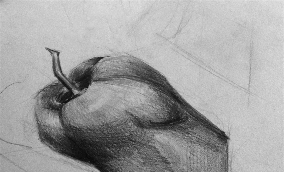 Sage Series / Drawing for Seniors
