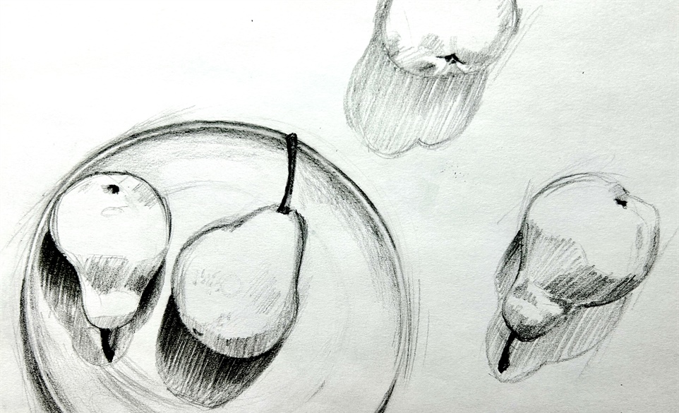 Still Life Drawing Class for Adults