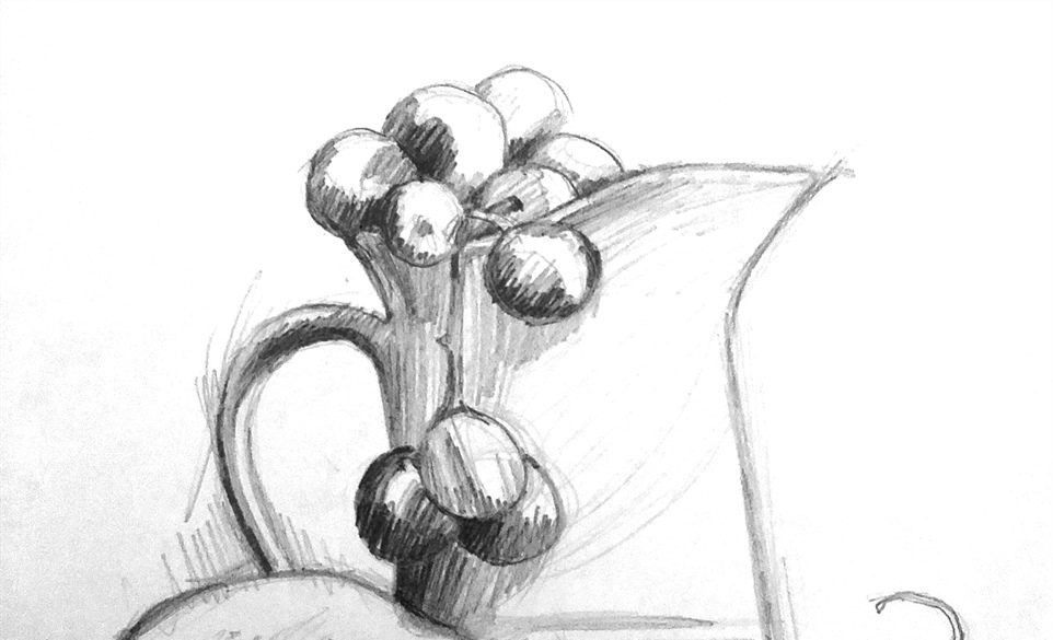 Still Life Drawing Class