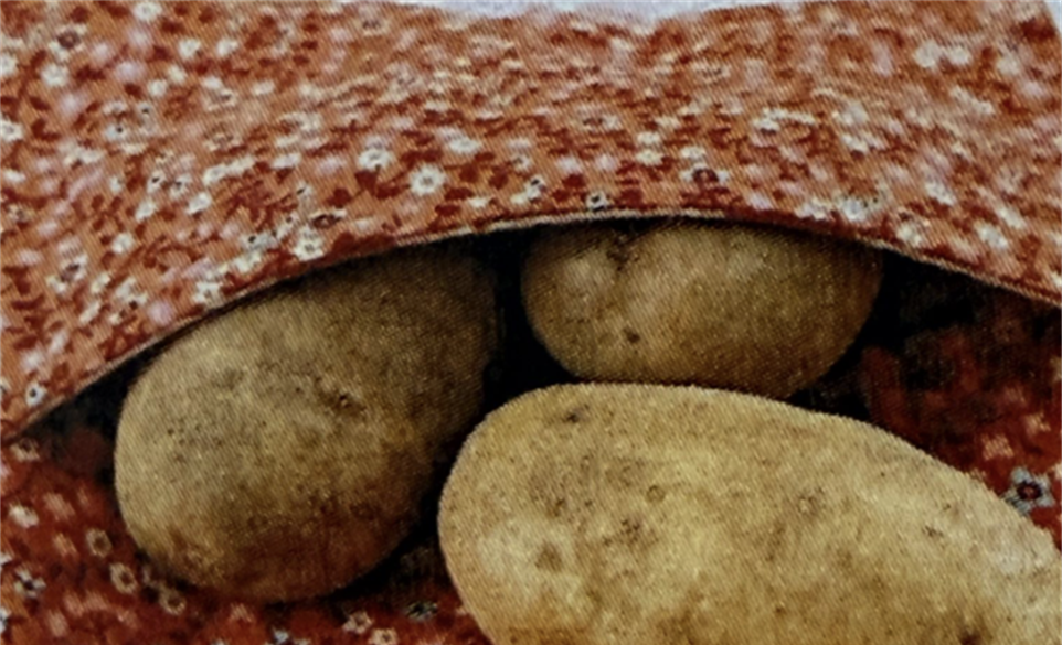 Sewing: Tortilla & Potato Warmer