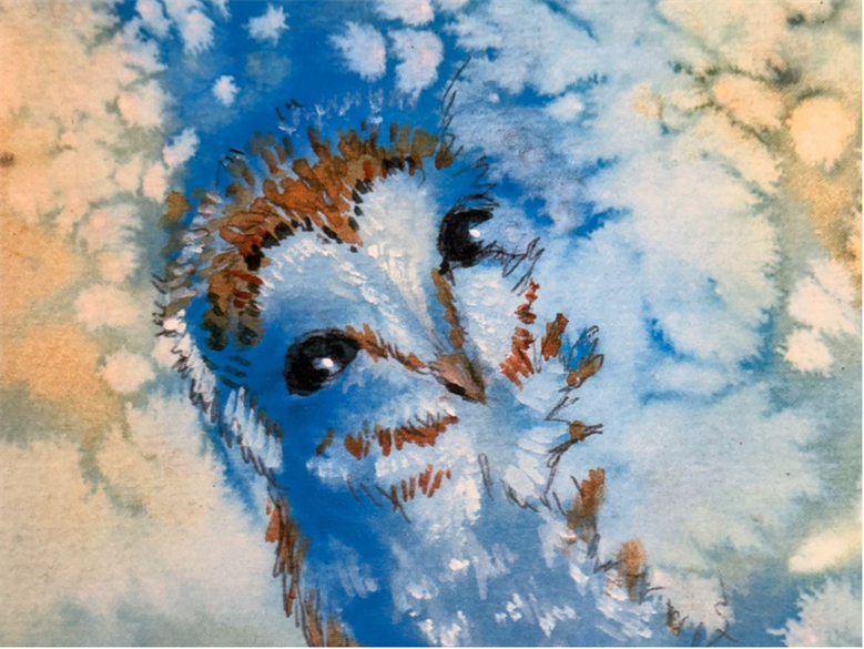 Snowy Owls with Annie Allen