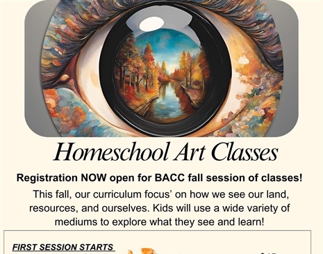 Homeschool Integrated Art Program (6-12 yr old) Gallery image 3