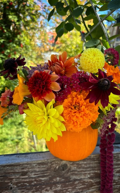 Pumpkin /flower design class Gallery image 1