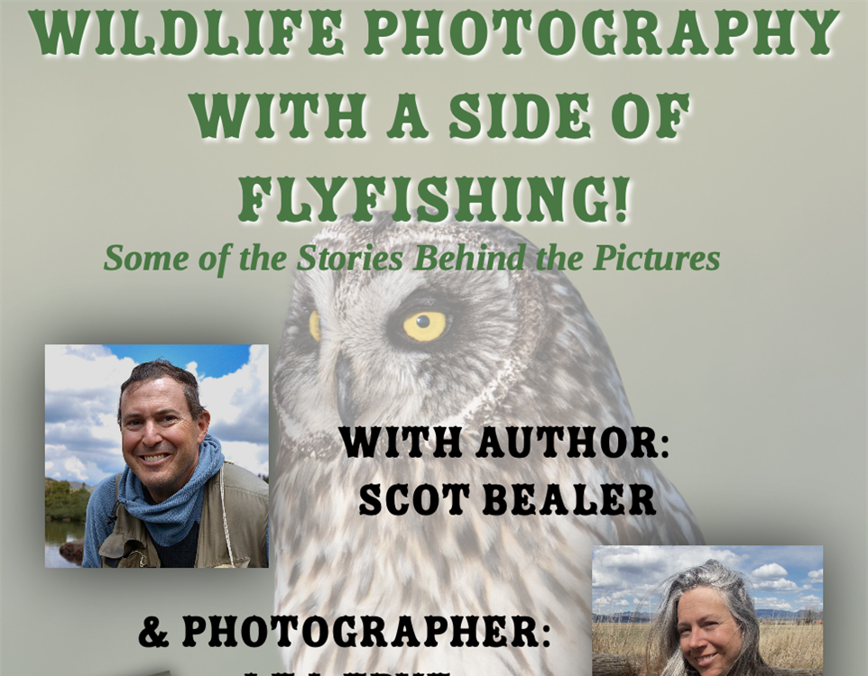 Fun, Facts and wildlife photography Gallery image 4