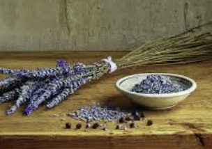 Lavender Lies Bleeding Gallery image 1