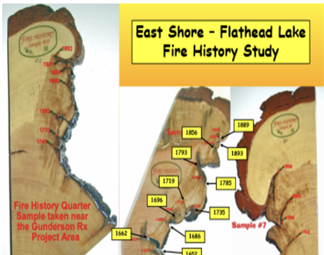 Wildfire through the ages; history & risks Gallery image 3