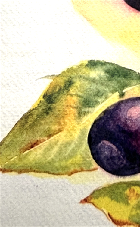 Advance watercolor Techniques Gallery image 1