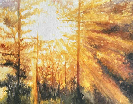 Advance watercolor Techniques Gallery image 3
