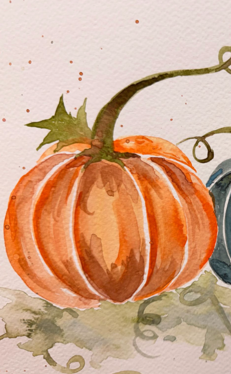 Pick of the Patch: Pumpkin Watercolor Gallery image 1