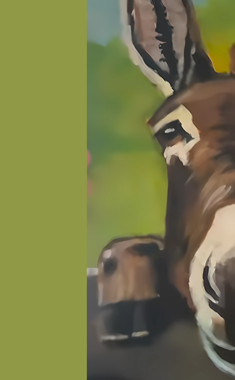 Donkey Painting Class Gallery image 1